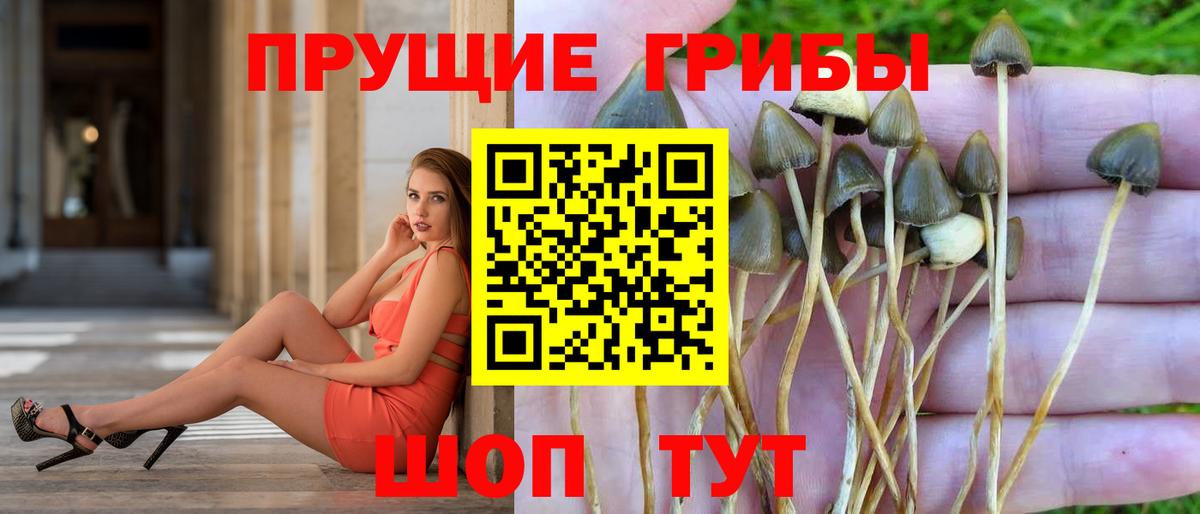 Псилоцибиновые грибы Magic Shrooms Ликино-Дулёво